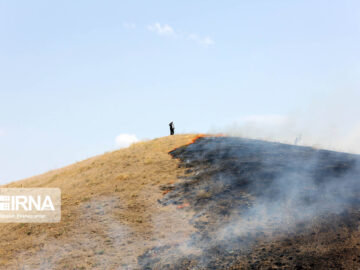 ۲۸ هکتار از مراتع روستای محمودآباد بوکان طعمه حریق شد