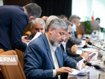 انصراف پولادگر از ادامه رقابت برای کرسی اتحادیه تکواندو آسیا