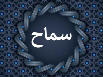 زائران اربعین برای بهره‌مندی از بیمه سفر و تسهیل خدمات در سامانه سماح ثبت‌نام کنند