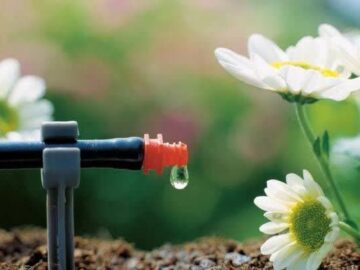 استاندار همدان: قطره‌ای آب نباید هدر برود