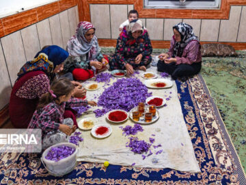 احیای تعاونی‌های راکد؛ نقشه راه رونق اقتصادی گلستان
