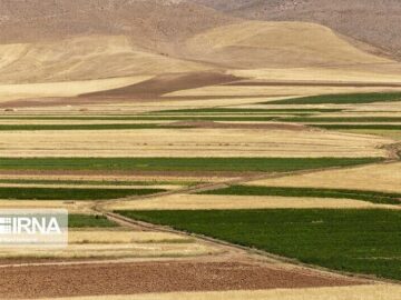 بیش از ۱۱ میلیون هکتار از اراضی کشاورزی کشور سنددار شد