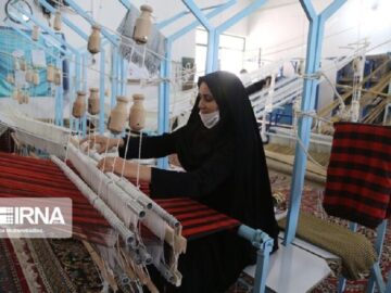 پرداخت ۸۸ میلیارد تومان تسهیلات مشاغل خانگی در خراسان جنوبی