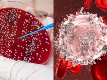 فراخوان طراحی و سنتز MRNA اصلاح‌شده؛ پیوند سلول‌های بنیادی خون‌ساز با هدف درمان تالاسمی