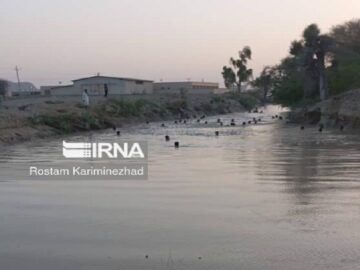 ۵ نفر در کانال های انتقال آب کشاورزی دشتستان بوشهر دچار غرق شدگی شدند