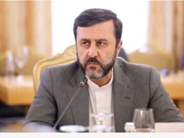 غریب آبادی: در نشست استانبول مواضع خود را درباره مکانیسم ماشه مطرح خواهیم کرد + فیلم