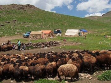 نماینده مجلس: تامین نهاده و ممیزی مراتع مطالبه عشایر گرمسار و آرادان است