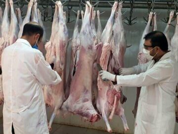 توسعه صنایع تبدیلی ایلام و عرضه گوشت سالم در گرو کشتارگاه صنعتی