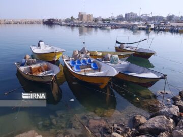 در آستانه صید میگو؛ طرح دریابست در استان بوشهر آغاز  شد