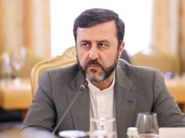 غریب‌آبادی: وزارت خارجه و نیروهای مسلح در مذاکرات و در جنگ کاملا هماهنگ بودند