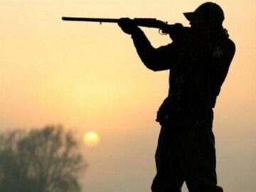 شکارچی غیرمجاز به همراه لاشه قوچ وحشی در دماوند دستگیر شد