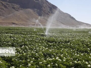پایان ۱۷ طرح آبرسانی کشاورزی بسیج خراسان‌شمالی و آغاز ۵۲ طرح جدید