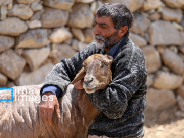 کشتارگاه صنعتی «ششتمد» خراسان رضوی پس از سالها کش و قوس مجوز تاسیس گرفت