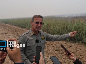 مدیرکل محیط زیست خوزستان: کم‌آبی عامل آتش‌سوزی ۲۲ هزار هکتاری در هورالعظیم عراق