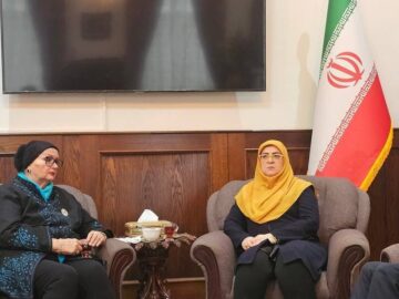 دیدار سخنگوی دولت با وزیر خارجه پیشین بوسنی