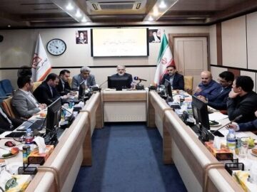 بانک مسکن فراتر از یک نهاد مالی و موتور محرک توسعه مسکن کشور است