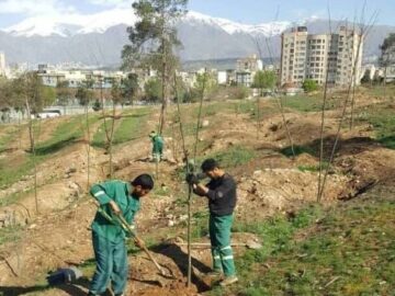 پایش آنلاین محیط زیستی در پارک سرخه حصار با ۴۴ دوربین نظارت محیط زیستی