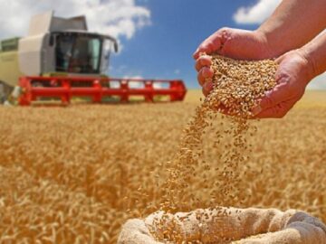 بحث دوباره بر سر تأسیس بورس غلات بریکس
