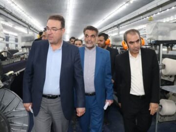 صنعتگران کبودرآهنگی مسایل و مشکلات خود را با معاون وزیر صنعت درمیان گذاشتند