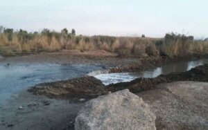 احیای تالاب بندعلیخان در دستور کار است/توقف واگذاریهای غیرکارشناسی در تهران