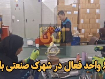 فیلم | ۶۵ واحد فعال در  شهرک صنعتی بانه