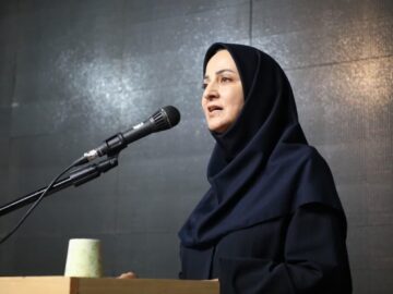 ۸۰ درصد فعالان مشاغل خانگی کشور زنان هستند