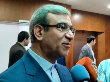 ۸۰ درصد افغان‌های غیرمجاز بازگشته به افغانستان، ایران را داوطلبانه ترک کرده اند + فیلم