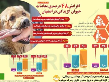 اینفوگرافیک| افزایش ۴۸ درصدی معاینات حیوان گزیدگی در اصفهان