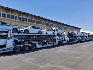 تشکیل کارگروه ویژه برای ترخیص فوری ۱۴ هزار خودروی خارجی در هرمزگان