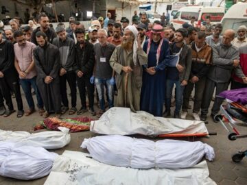 شهادت ۵۷ فلسطینی دیگر در غزه / شمار شهدای نسل کُشی رژیم صهیونی به ۵۹ هزار و ۷۳۳ نفر رسید