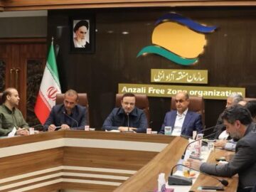 دبیر شورایعالی مناطق آزاد بر حمایت از آسیب دیدگان آتش سوزی ونوس تاکید کرد