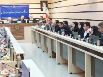 معاون وزیر صمت: اصلاح روند توزیع سوخت در حوزه صنعت و معدن پیگیری می‌شود