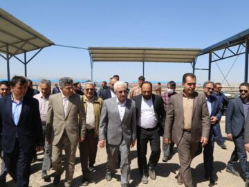 نماینده شیروان: تسهیلات طرح گاوداری ۱۰ هزار راسی به‌زودی واریز می‌شود