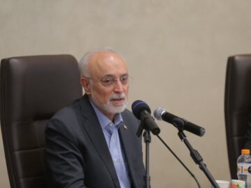 صالحی: مسوولیت‌های اجتماعی در مدارس باید آموزش داده شود