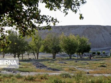 احیای «ارگ نادری شیروان»؛ پایانی بر غبار بی‌توجهی و تخریب