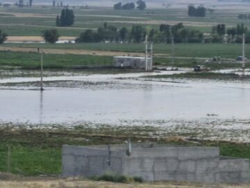 سیلاب به ۲۵ هکتار از زمین‌های کشاورزی اردبیل خسارت زد