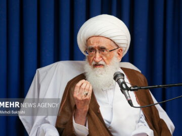 آیت الله نوری همدانی به پاپ در خصوص محاصره مردم مظلوم غزه نامه نوشت