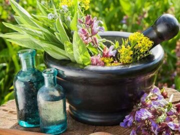 توسعه کشت گیاهان دارویی؛ راهکاری موثر برای کاهش مصرف آب
