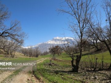 جستجوی گسترده برای یافتن دامپزشک مفقودشده درارتفاعات اندیکا ادامه دارد