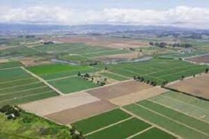 سازمان امور اراضی و مرکز وکلا تفاهمنامه همکاری امضا کردند