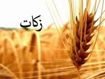 وصول زکات در ۹۸۶ روستای استان کرمانشاه