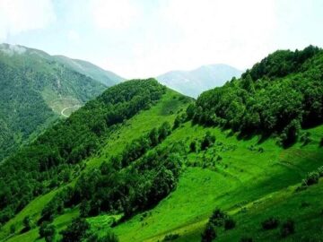 برنامه‌های آموزشی و ترویجی منابع طبیعی گلستان برای سال ۱۴۰۴ تشریح شد