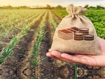 ۱۷۲ صندوق توسعه کشاورزی در کشور فعال است