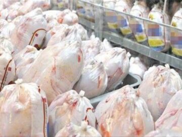 تشدید نظارت بر بازار مرغ فارس با هدف تأمین نیاز مصرف‌کنندگان