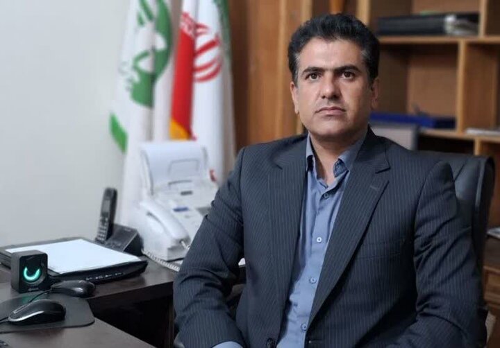 هموطن «سنجاب» نخر!