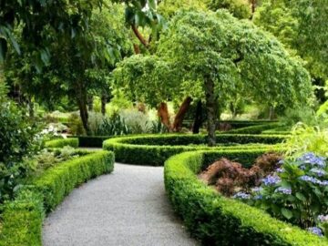 احیای فضای سبز منطقه ۱۲ تهران