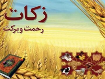 پرداخت زکات در استان بوشهر ۴۸ درصد افزایش یافت