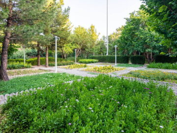 تدابیر جذب نیروی کارگر ایرانی برای حفاظت از فضای سبز تهران