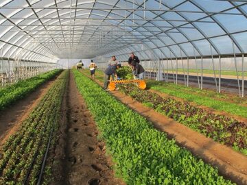 عملیات اجرایی شهرک گلخانه‌ای شهرستان اردبیل آغار می‌شود
