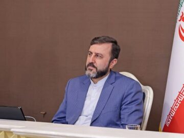 غریب ‌آبادی: ادعای فریب نیروهای ایرانی در میز مذاکره نادرست است